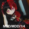 1/4 MSD / MDD