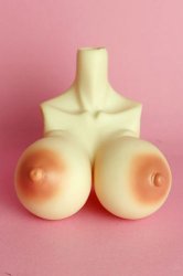 [Outer Body Part] Type-H3 Bust ver.2 Whitey Soft Skin (Blushed)