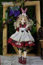 CMD000045 Red Rabbit Dream MSD Ver.