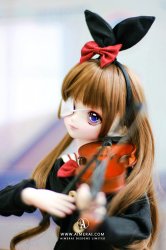 [In Stock - BlanK Doll] Sakura - My Girls Series