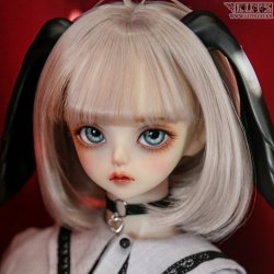 [Pre-Order] ANI