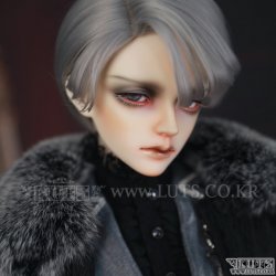 [Pre-Order] RAVEN