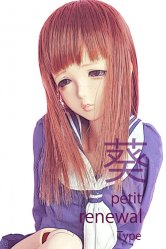 ANGEL PHILIA 葵 Aoi Petit Renewal Type Soft Skin(Ltd.)
