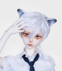 Class40 [SOAVE: : Wolf Ear parts Ver.]