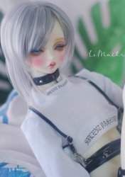 [OCT23 Pre-Order] SD17-04 White Top