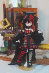 [NOV23 Pre-Order] MDD-13 SET Abandoned Stray Cats