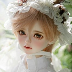 [Pre-Order] KAI