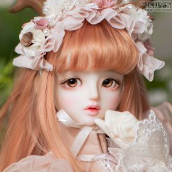 [Pre-Order] SILVIA