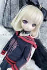 1/4 MSD / MDD