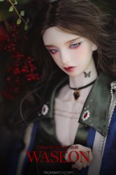 [Pre-Order] Waseon 臥選