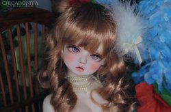 Yuri : Limited Faceup (Malangl)