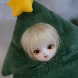 Snow Audrey (28th Nov 2025~26th Dec) Snow Audrey (28th Nov 2025~26th Dec)