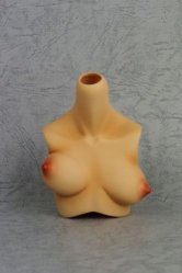 [Outer Body Part] Type-C6 Bust Tan (Blushed)