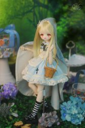 [MAY24 Pre-Order] MDD-15 SET Alice