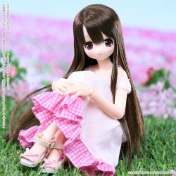 POD019-ACR ALISA（アリサ）／Sweet Days コーディネイトドールset～ベリーブラウンヘア～