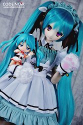 CLW000146 Teal Twintail