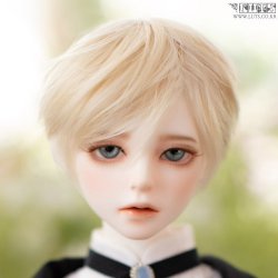 [Pre-Order] DIAN