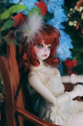 Yuri : Limited Faceup (Docshul)