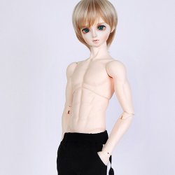 [Pre-Order] Senior65 Delf New Body