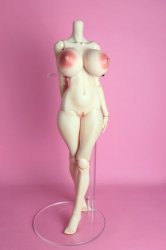 Type-H Body (Head not included) D Set Soft Skin ver. (Whitey)