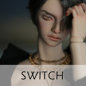 SWITCH