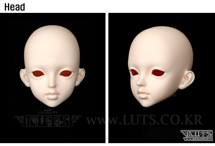 [Pre-Order Deadline : 2022-06-30 (HKT15:00)] RAINA Head Limited