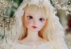 HINA : Monthly HD