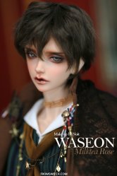 [In Stock] Waseon 臥選 (Mocha Brown)